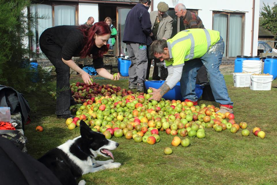 Apples, Sustainability and local business on Radio 4!